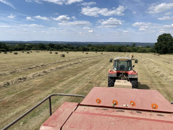 Hay Field