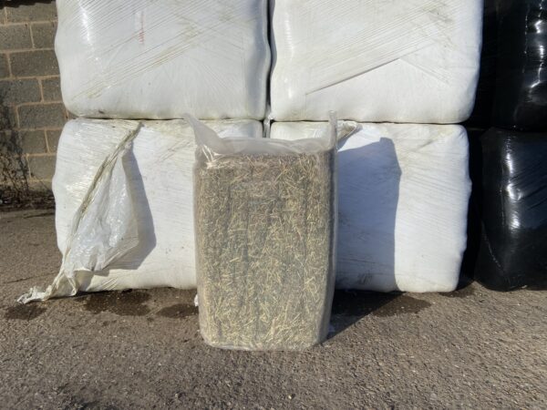 Small Bale of Ryegrass Free Haylage