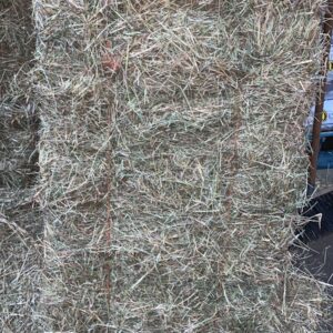 Small Hay Bale