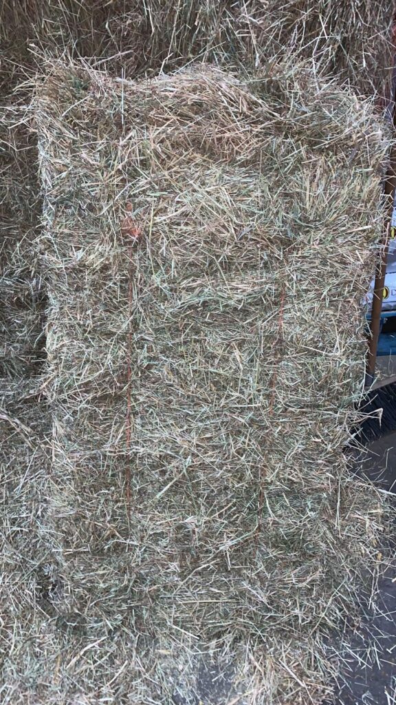 Conventional Bale of Hay