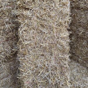 A Bale of Straw