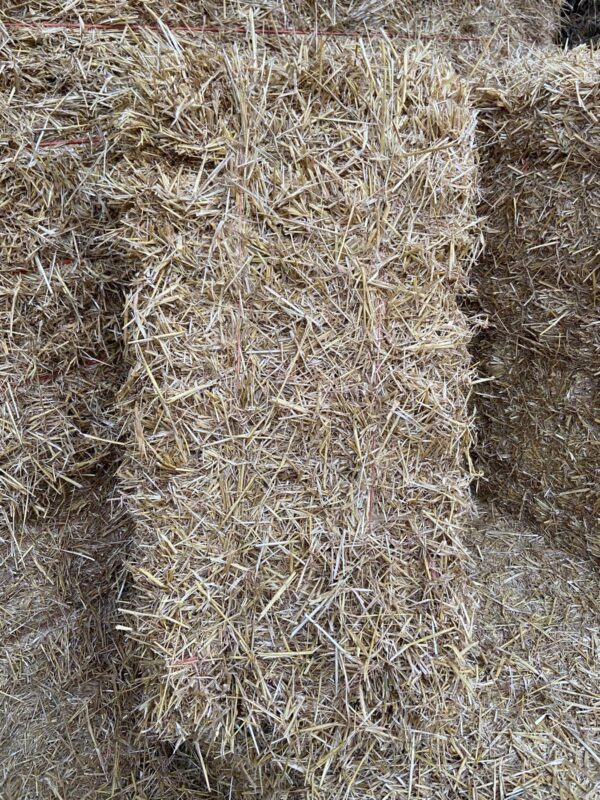 A Bale of Straw