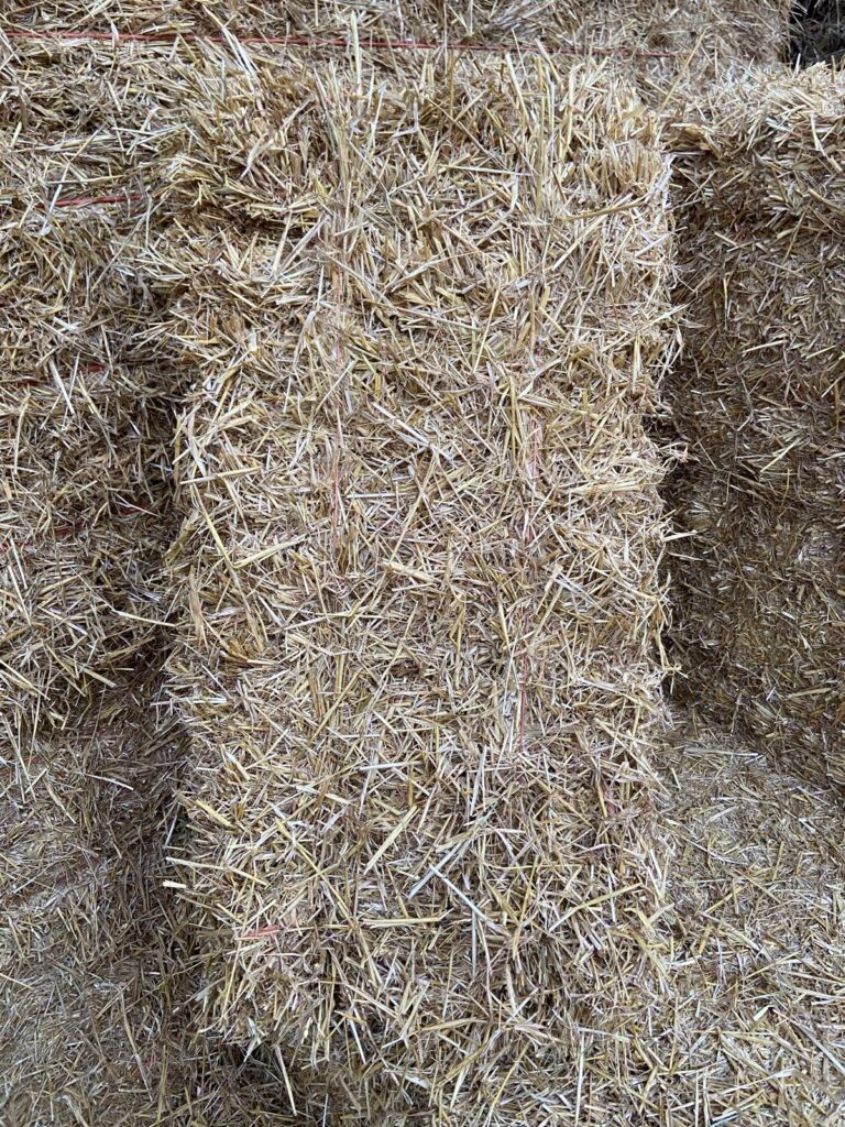 Conventional Bale of Straw