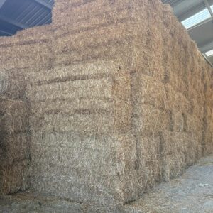 4 String Big Bale Straw 8' long