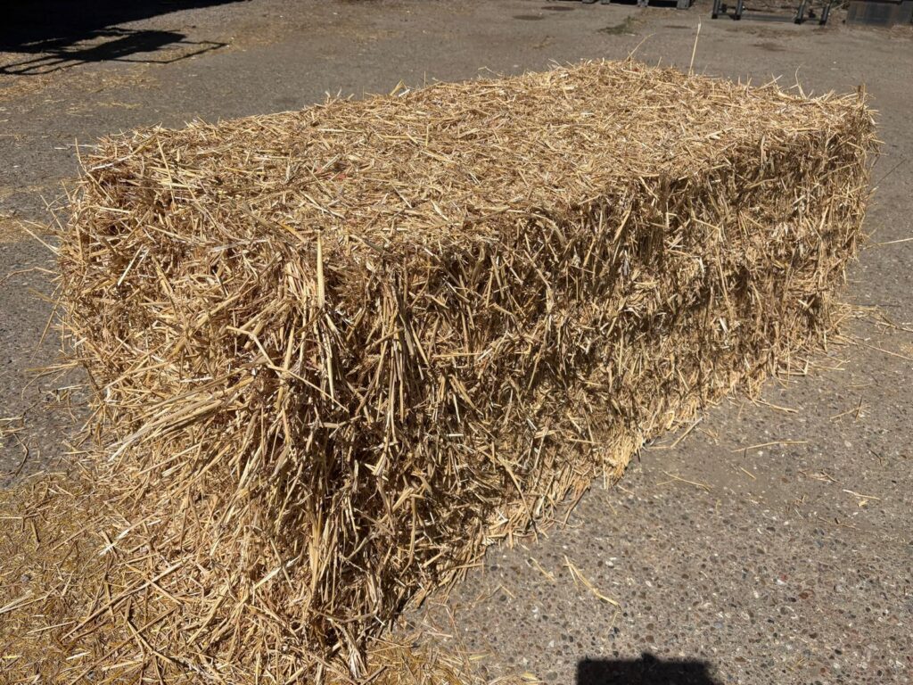 4 String Big Bale Straw 6' Long