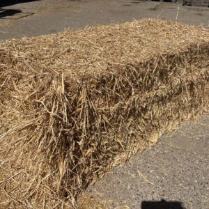 4 String Big Bale Straw 6' Long