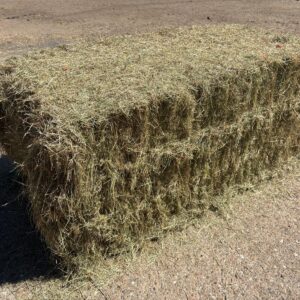 4 String Big Bale Hay 6' Long