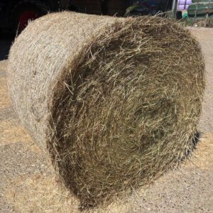 Round Bale Hay 4'